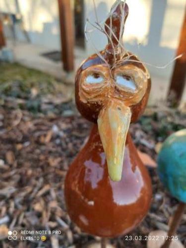 verrücktes Huhn