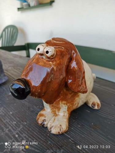 Hund